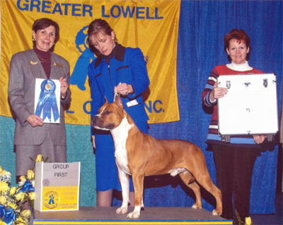 Ame Staff Dogz - BIS Multi Ch Am Ch. Royal Courts Winning Colours